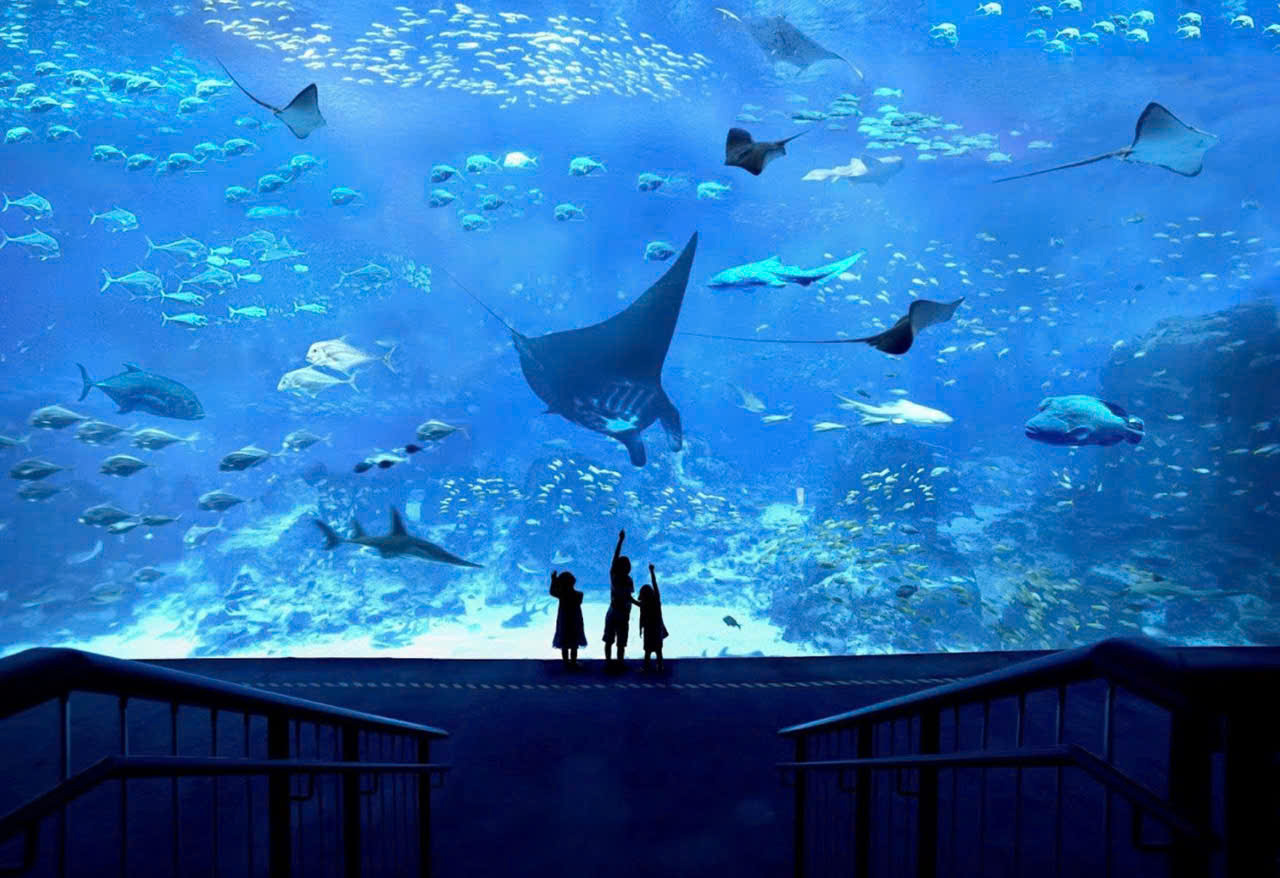 Oceanarium