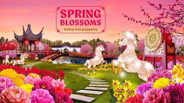 4. Spring Blossoms Fes