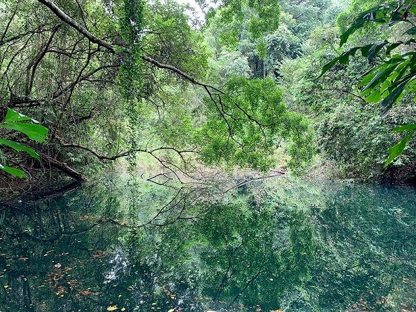 Keppel Hill Reservoir