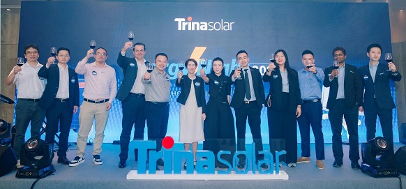 Trinasolar 12-10
