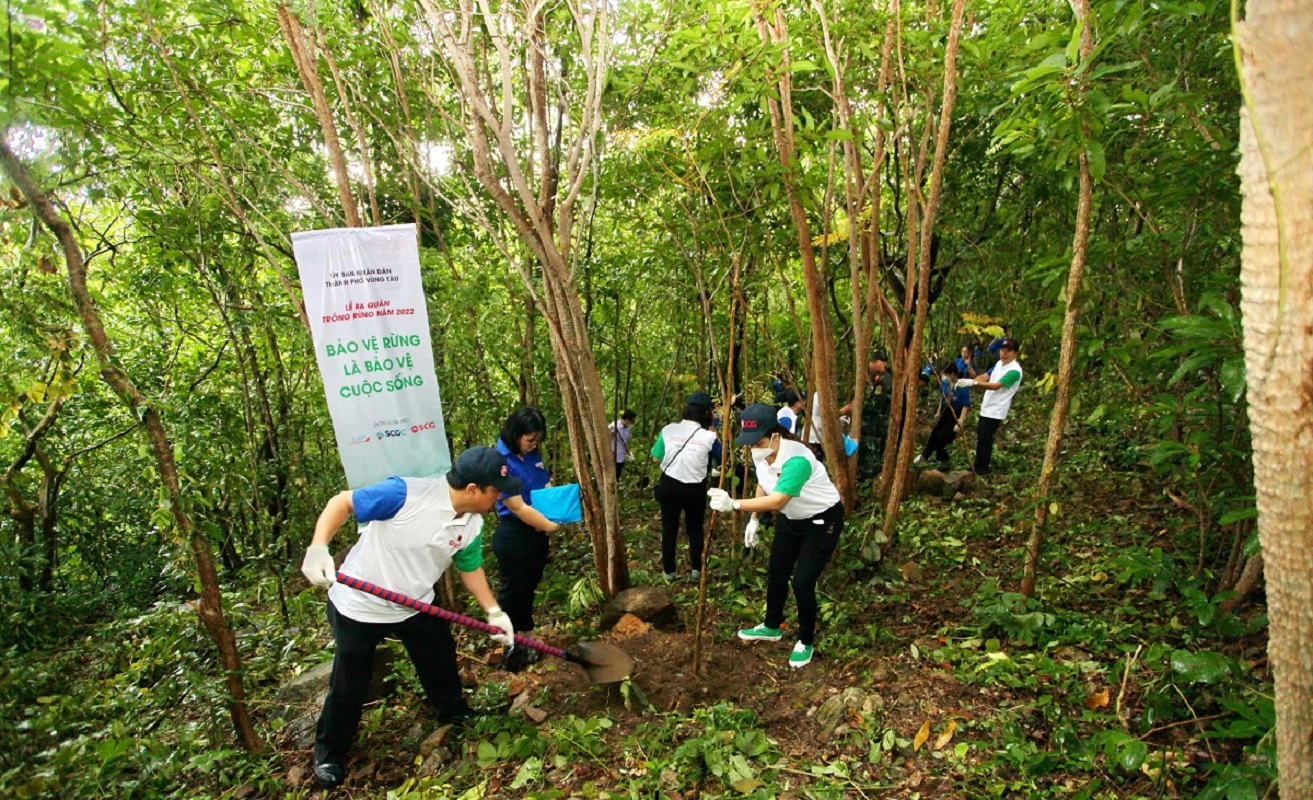 Khởi động trồng cây 3