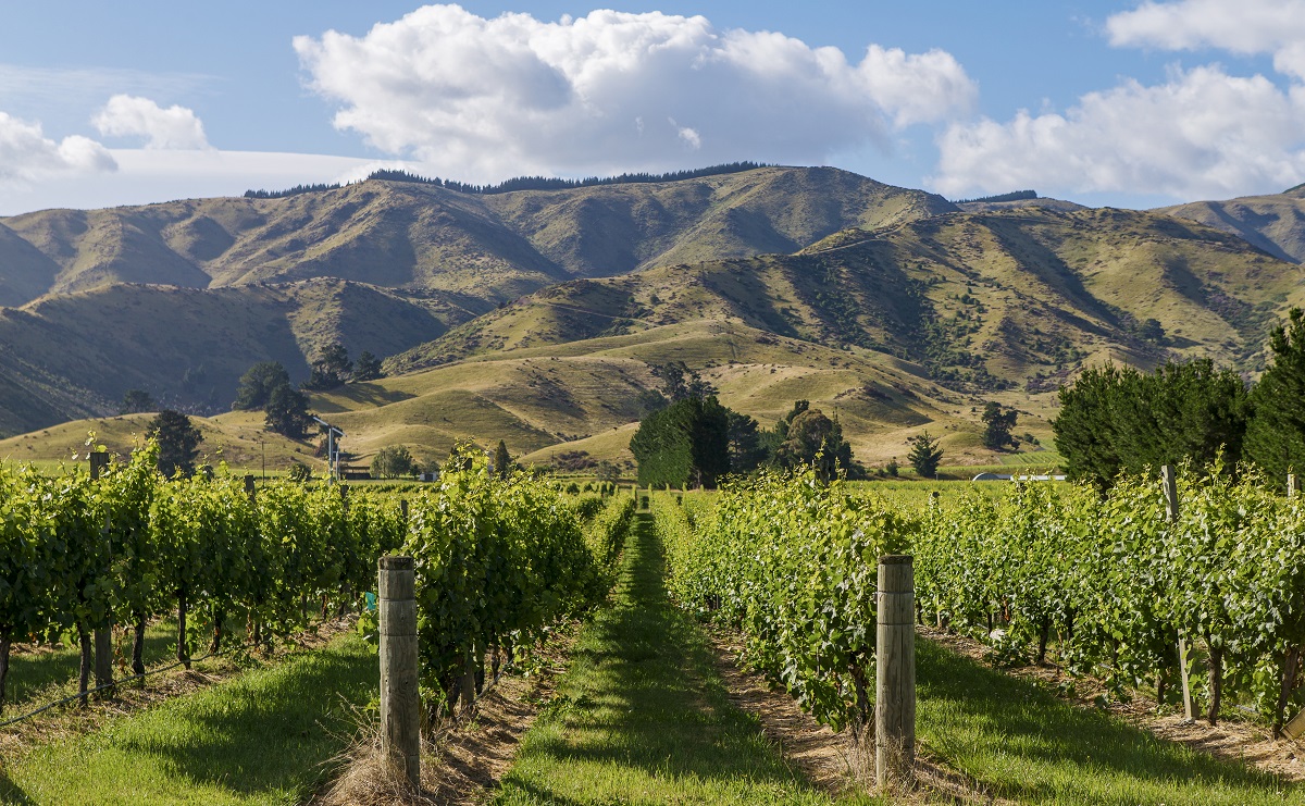 Marlborough New Zealand