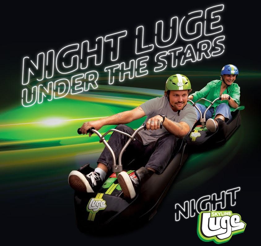 Night Luge Under the Stars