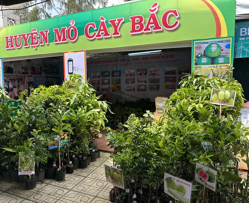 SP Mỏ Cày Bắc