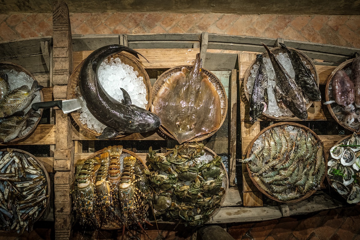 Zannier Hotels Bãi San Hô - Bà Hài - Fishes 1