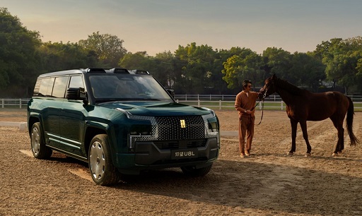 사진자료 양왕   U8L  딩창 에디션 