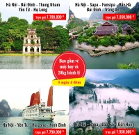 Lạc Giữa Rừng Tour Hấp Dẫn