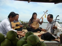 Đờn ca tài tử Nam Bộ (2013)