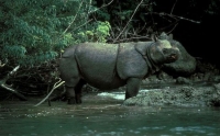 Bangladesh – Khu bảo tồn Sundarbans (1997)