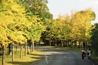 Công Viên Uminonakamichi Seaside Ở Fukuoka