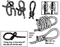 Kỹ năng thắt nút dây