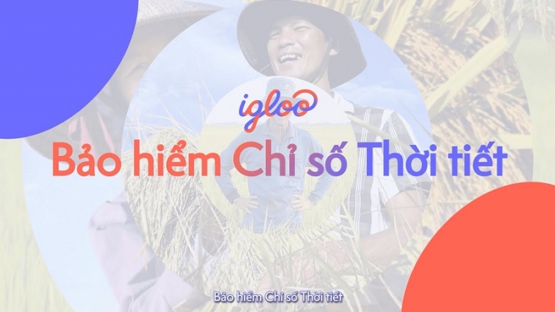 39 HỘ NÔNG DÂN Ở AN GIANG ĐỦ ĐIỀU KIỆN ĐỂ NHẬN TIỀN HỖ TRỢ TỪ BẢO HIỂM CHỈ SỐ THỜI TIẾT SAU ĐỢT MƯA LỚN THÁNG 5