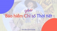 39 HỘ NÔNG DÂN Ở AN GIANG ĐỦ ĐIỀU KIỆN ĐỂ NHẬN TIỀN HỖ TRỢ TỪ BẢO HIỂM CHỈ SỐ THỜI TIẾT SAU ĐỢT MƯA LỚN THÁNG 5